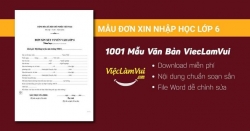 Mẫu đơn xin nhập học lớp 6