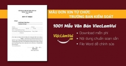 Mẫu đơn xin từ chức trưởng ban kiểm soát