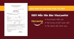 Mẫu đơn tố cáo phá hoại tài sản