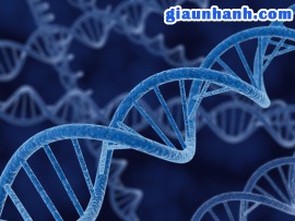 DNA của nhà triệu phú tiến bộ