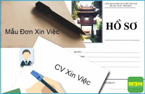 Mẫu hồ sơ xin việc chuyên nghiệp, ấn tượng, 4627, Minh Toàn, Giàu Nhanh, 03/05/2021 10:03:30
