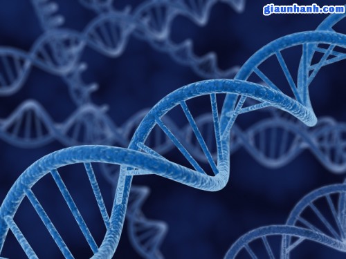DNA của nhà triệu phú tiến bộ